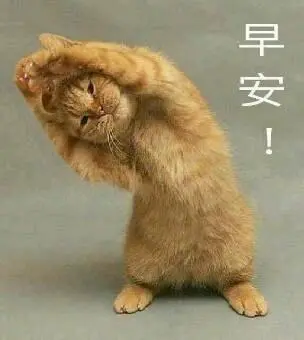 早安心语#为别人鼓掌的人也是在给自己的.
