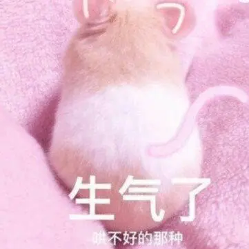 萌宠仓鼠生气了不理你了呆萌可爱gif动图_动态图_表情包下载_soogif