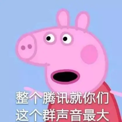 我跟你讲我现在就是这个表情(猫脸)-看表情-kanbiaoqing.com