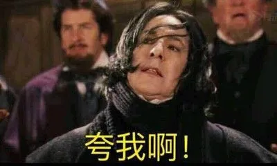 哈利波特霍格沃茨魔法世界巫师表情包斯内普教授
