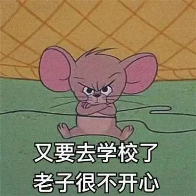 猫和老鼠开学季表情包图片