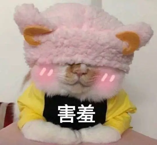 害羞一组害羞表情包67