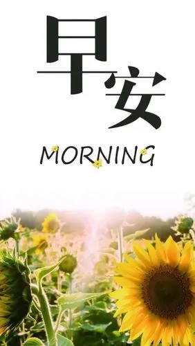 早安呀
