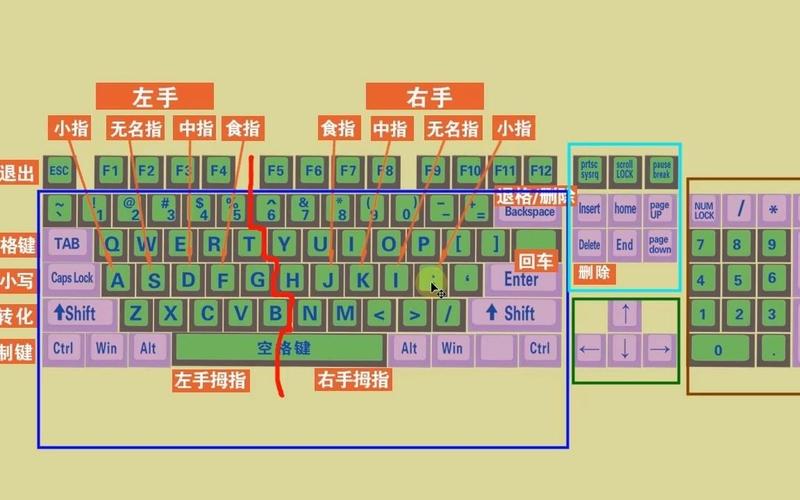 零基础快速学拼音学五笔打字教程,键盘打字快速入门