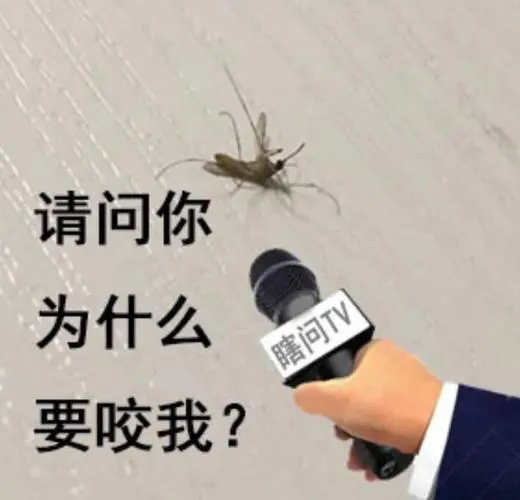 杂烩[id:41493348]收起评论发表评论表情