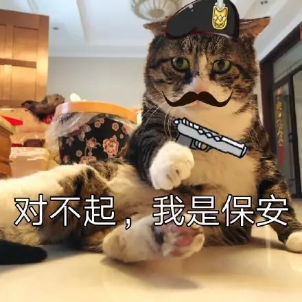 猫咪表情包:对不起,我是保安