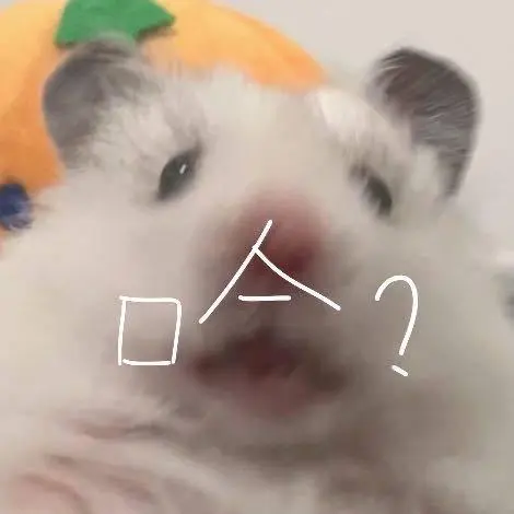 仓鼠表情包