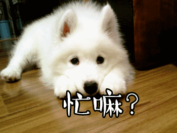 忙嘛忙gif动图_动态图_表情包下载_soogif