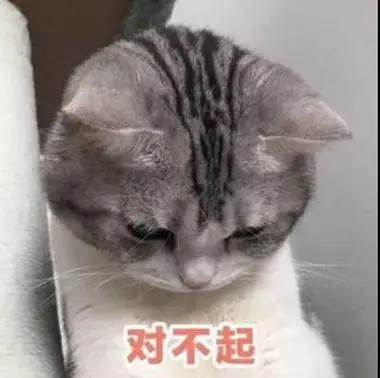 对不起一组喵星人表情包一起吸猫
