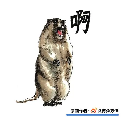 土拨鼠呐喊一杠原创插画搞笑搞怪创意男女女款t恤