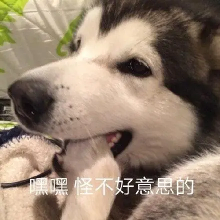 嘿嘿怪不好意思的_不好意思_嘿嘿表情