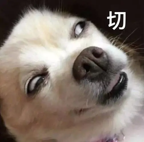 萌宠汪星人切一个白眼翻着调皮可爱gif动图_动态图_表情包下载_soogif