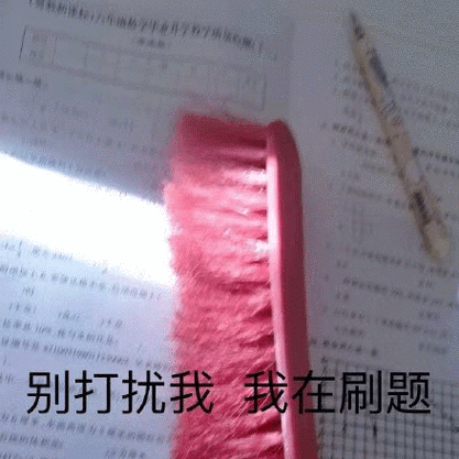 别打扰我我在刷题_打扰_刷题表情熊猫头围观表情包_围观_熊猫表情舔