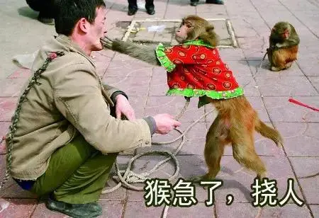 开放二胎猴急的不只是夫妻
