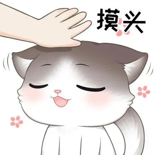 猫咪心里委屈qaq我都有~你喜欢的样子(≧63≦)17喵喵表情包放送为