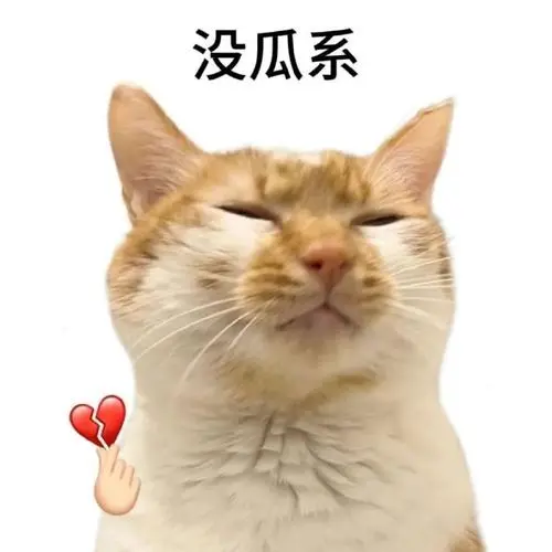 一组可爱猫咪表情包