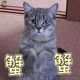谢谢蟹蟹猫咪搞怪soogifsoogif出品gif动图_动态图_表情包下载_soogif