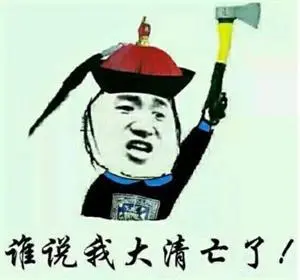 大清亡了是什么意思
