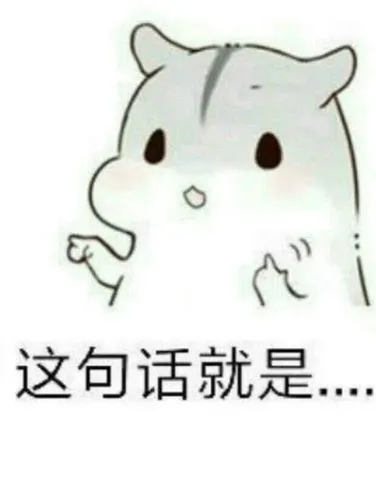 这句话就是.-聊天表情-斗图表情包-表情包网站