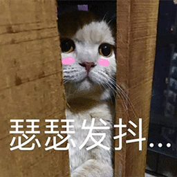 萌宠猫咪猫喵星人瑟瑟发抖害怕gif动图_动态图_表情包下载_soogif