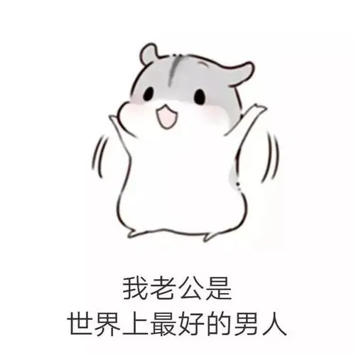 仓鼠套路表情包|男朋友生气了该怎么哄?