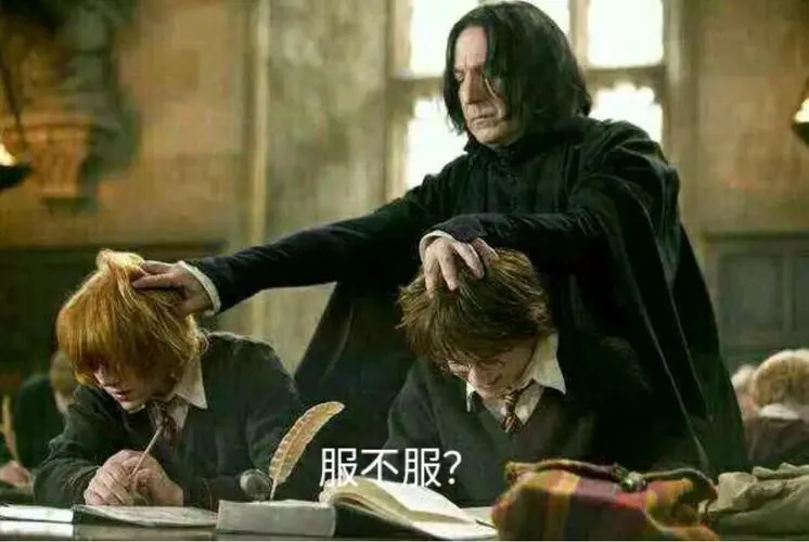 哈利波特服不服表情