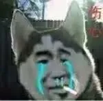 狗狗哭了_狗狗表情