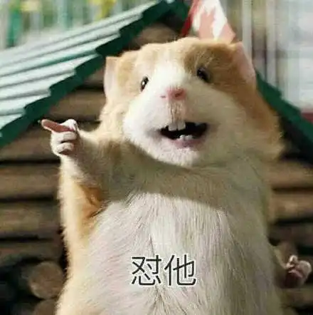 怼他(小老鼠)