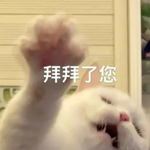 萌宠猫拜拜了您生气呆萌可爱gif动图_动态图_表情包下载_soogif