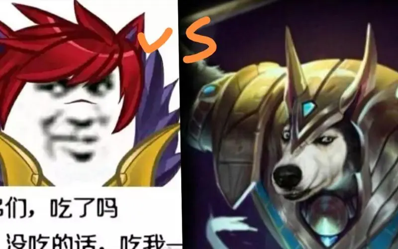 站撸系列六神劲夫vs600q狗头狗是劲夫最好的朋友