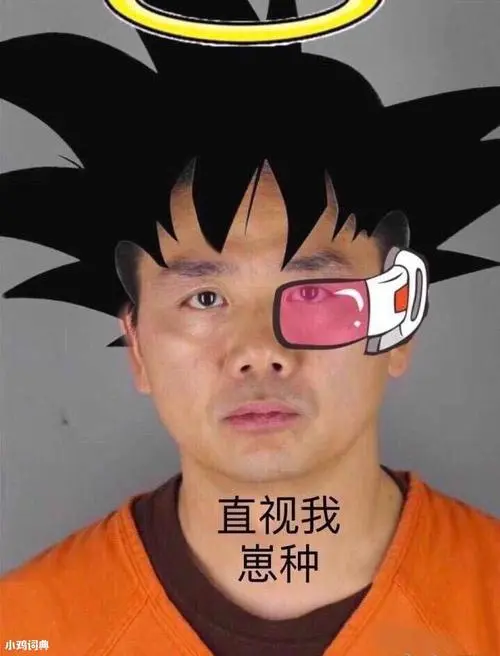 据说是动漫《龙珠》的一句台词,后被刘强东的一个龙珠p图的表情包带火
