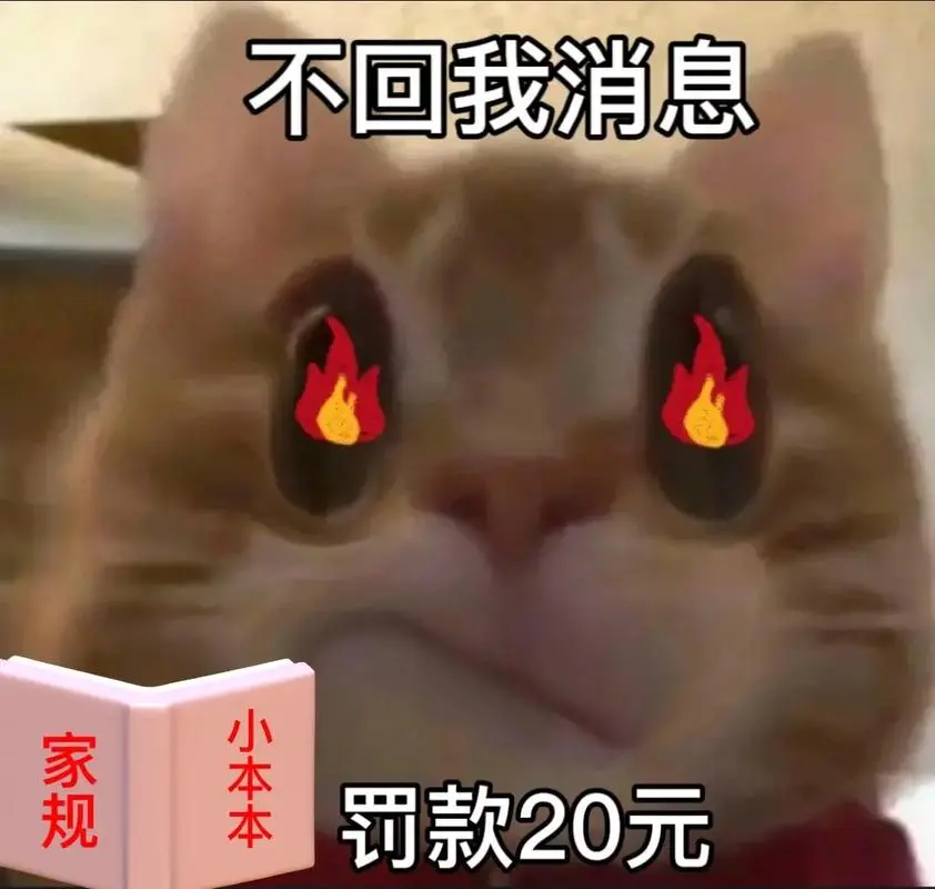 《新家规》#发给对象表情包#表情包#情侣表情包-抖音
