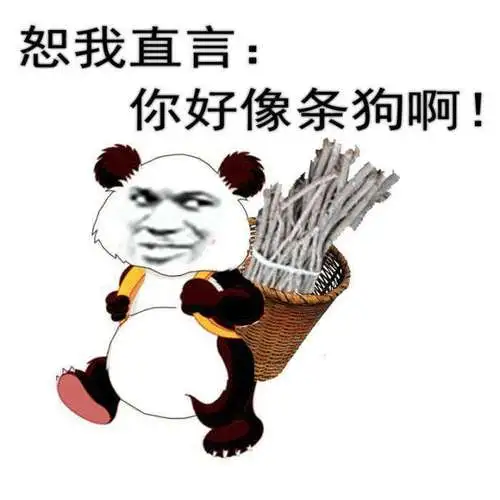 你怎么跟条狗一样微信表情包聊天图片表情