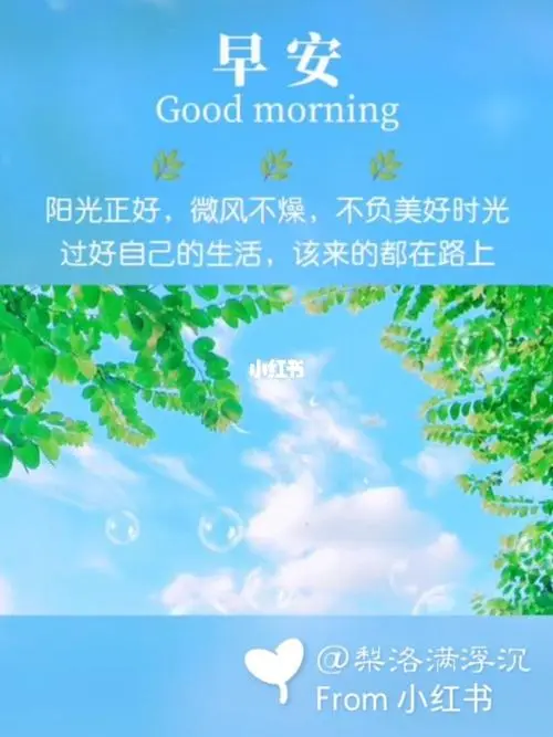 早安呀2904660429