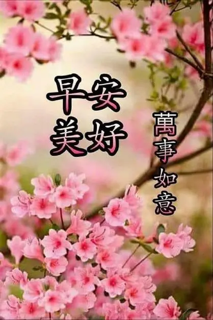 早安美好萬事如意-中老年人早安问候表情包亲爱的,早安,你醒了吗
