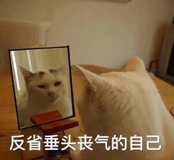 萌宠猫星人反省垂头丧气的自己无奈搞怪逗gif动图_动态图_表情包下载
