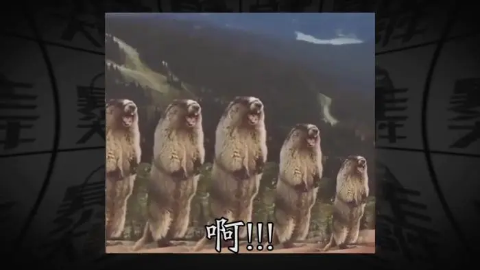 五只土拨鼠喊