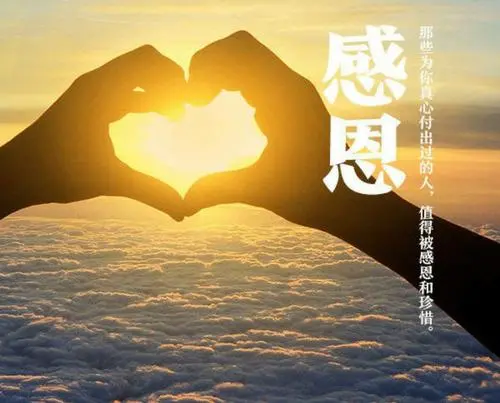 感谢银杏树(师生关于教学的对话)