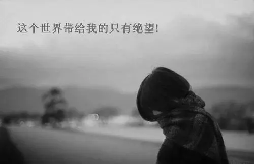 全是