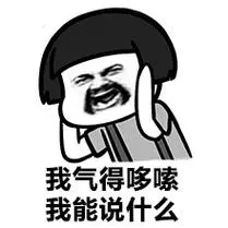 我气得哆嗦我能说什么-与老婆同开一辆车的下场-斗图表情包