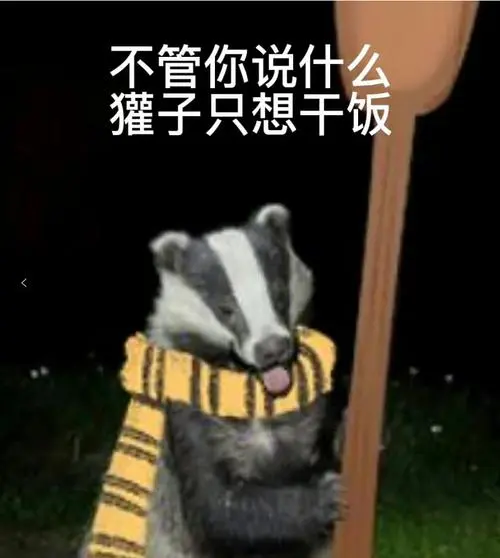 哈利波特手游:四大学院日常在干啥?獾院:放开我,我只想干饭!