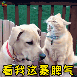 生气看我这暴脾气soogifsoogif出品gif动图_动态图_表情包下载_soogif