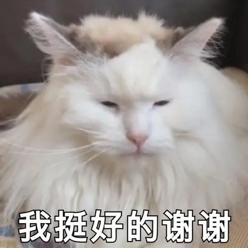 大腚:我挺好的谢谢-表情图片-聊天图片表情包-表情包网站