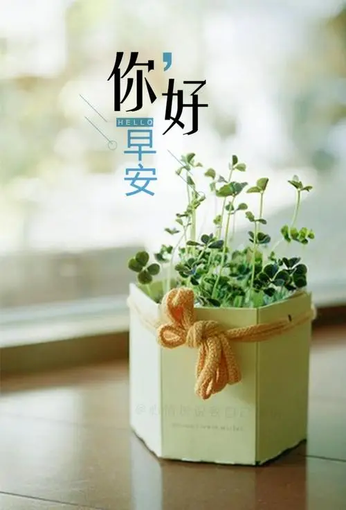 早安心语唯美正能量句子