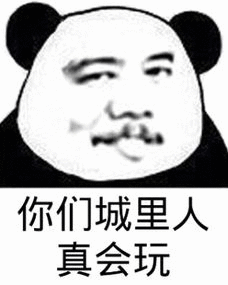 你们城里人真会玩_表情包_斗图图片