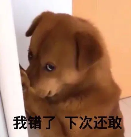 我错了下次还敢(狗子)_我错_狗子_还敢_下次表情