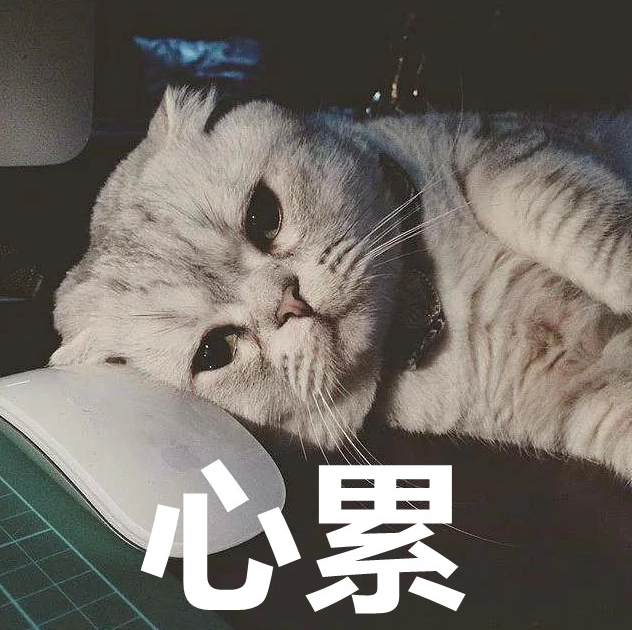 心累!本周绍兴晴天只有一天