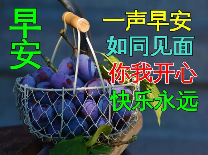 周日早安每日问候