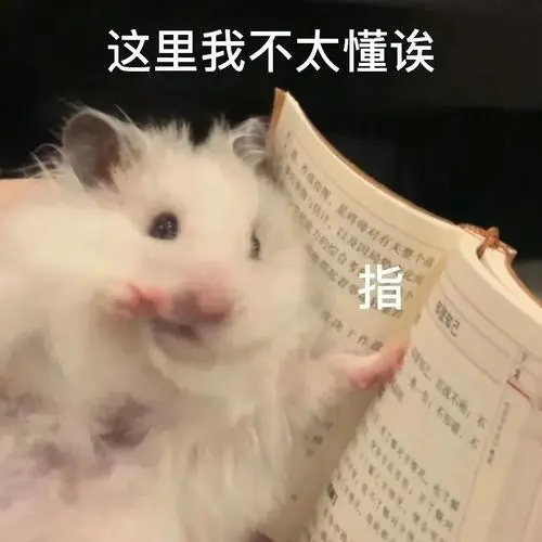求一个小仓鼠表情包?-知乎