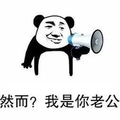 我是你老公(熊猫头)-皮蛋表情包
